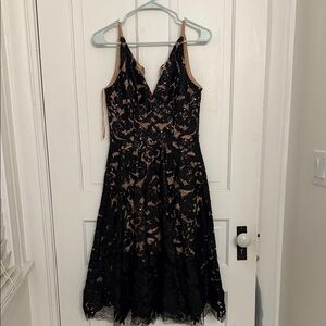 Dress the Population Black and Tan Lace Midi Dress